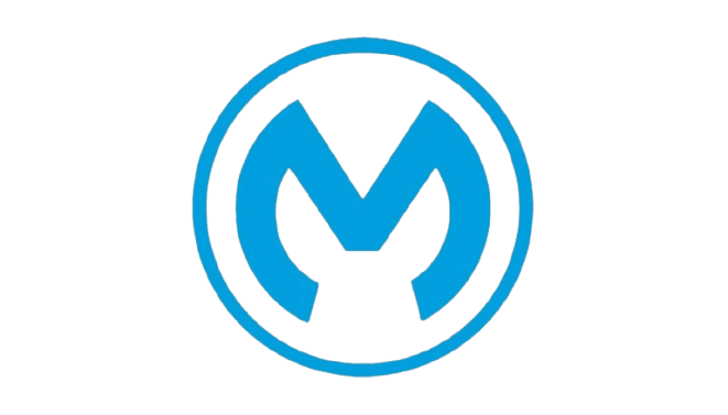 Mulesoft Developer